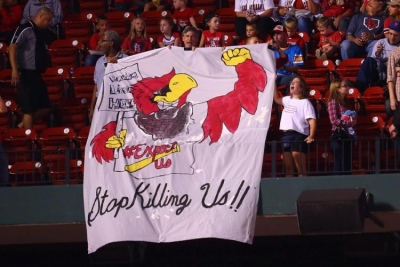 Fan at a Cardinals-Brewers game displaying banner, “Racism Lives Here” and “Stop Killing Us.”