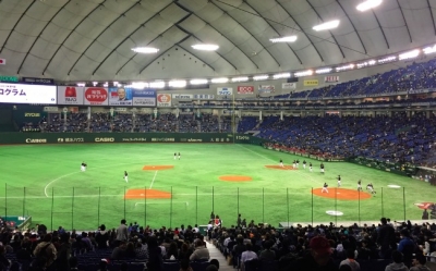 Protective netting at a baseball stadium in a foreign country